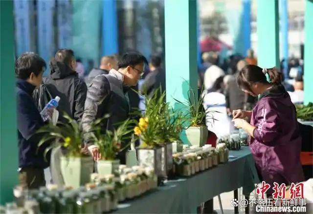 今日要闻！12月30日晚上新闻摘要韩国飞机又出事等10条新闻